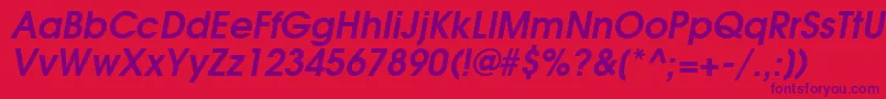 TexGyreAdventorBoldItalic Font – Purple Fonts on Red Background