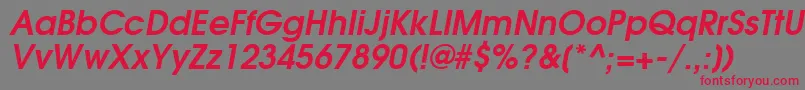 TexGyreAdventorBoldItalic Font – Red Fonts on Gray Background