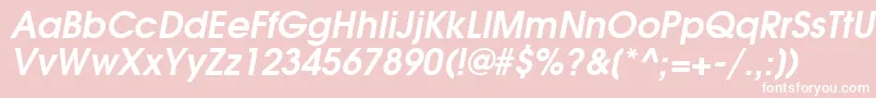 TexGyreAdventorBoldItalic Font – White Fonts on Pink Background