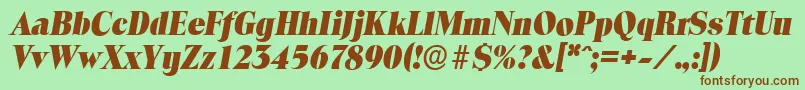ToledoserialHeavyItalic Font – Brown Fonts on Green Background