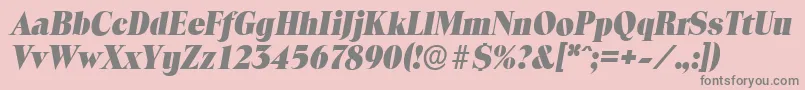 Шрифт ToledoserialHeavyItalic – серые шрифты на розовом фоне