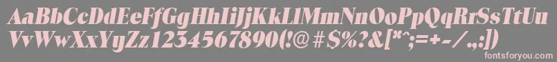 ToledoserialHeavyItalic Font – Pink Fonts on Gray Background