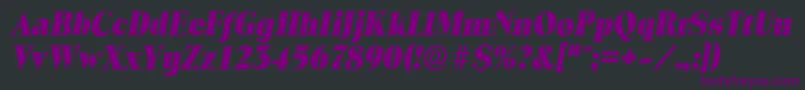 ToledoserialHeavyItalic Font – Purple Fonts on Black Background