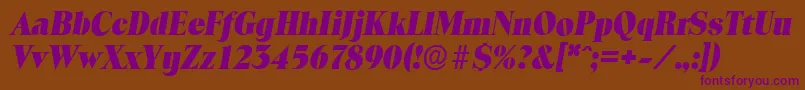 ToledoserialHeavyItalic Font – Purple Fonts on Brown Background