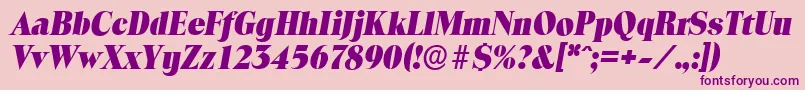 ToledoserialHeavyItalic Font – Purple Fonts on Pink Background
