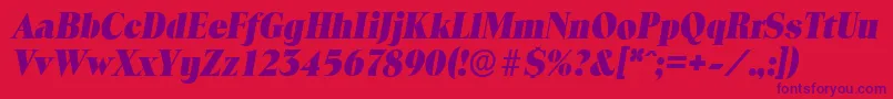 ToledoserialHeavyItalic-Schriftart – Violette Schriften auf rotem Hintergrund