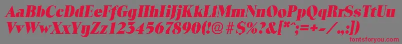 Czcionka ToledoserialHeavyItalic – czerwone czcionki na szarym tle