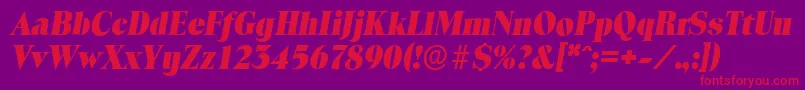 ToledoserialHeavyItalic Font – Red Fonts on Purple Background