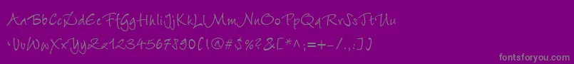 WiesbadenSwingLtCyrillicRoman Font – Gray Fonts on Purple Background