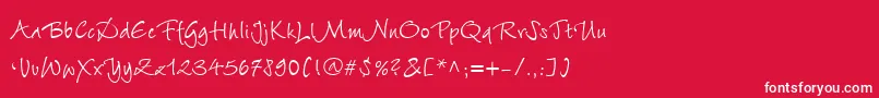WiesbadenSwingLtCyrillicRoman Font – White Fonts on Red Background