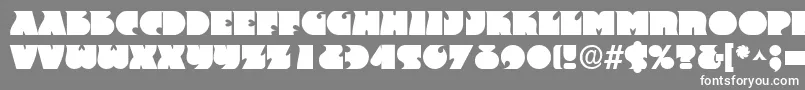 FranticRegular Font – White Fonts on Gray Background