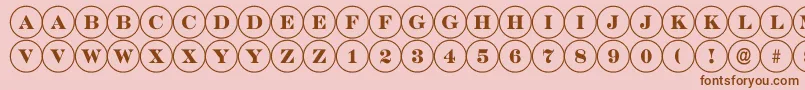 ADiscoserif Font – Brown Fonts on Pink Background