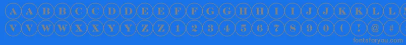 ADiscoserif Font – Gray Fonts on Blue Background