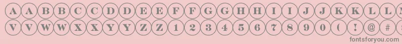 ADiscoserif Font – Gray Fonts on Pink Background