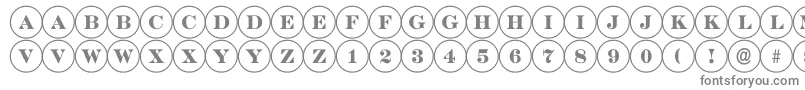 ADiscoserif Font – Gray Fonts