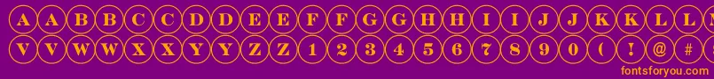 ADiscoserif Font – Orange Fonts on Purple Background