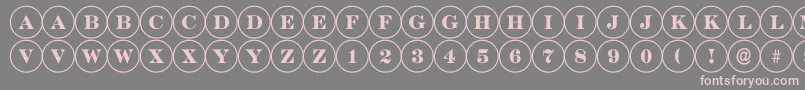 ADiscoserif Font – Pink Fonts on Gray Background