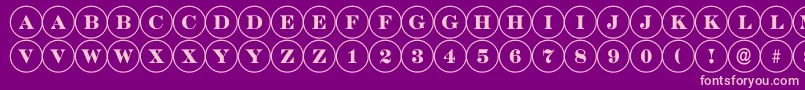 ADiscoserif Font – Pink Fonts on Purple Background