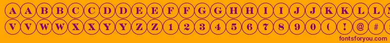 ADiscoserif Font – Purple Fonts on Orange Background