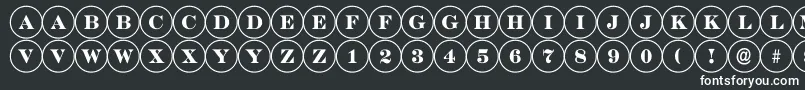 ADiscoserif Font – White Fonts on Black Background