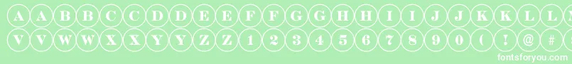 ADiscoserif Font – White Fonts on Green Background