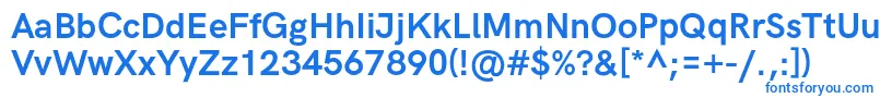 HkgroteskBoldlegacy Font – Blue Fonts on White Background