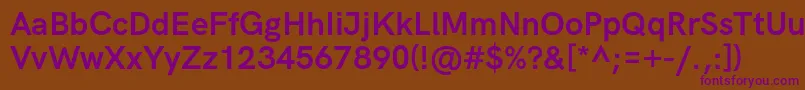 HkgroteskBoldlegacy Font – Purple Fonts on Brown Background