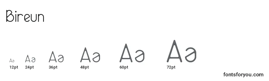 Размеры шрифта Bireun