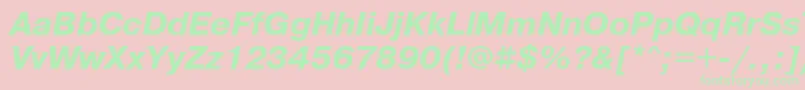 PragmaticaBoldObl Font – Green Fonts on Pink Background