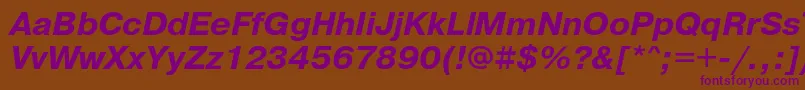 PragmaticaBoldObl Font – Purple Fonts on Brown Background