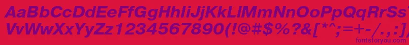 PragmaticaBoldObl Font – Purple Fonts on Red Background