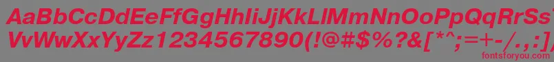 PragmaticaBoldObl Font – Red Fonts on Gray Background