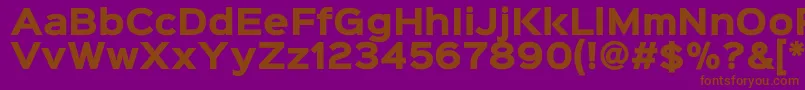 Sinkinsans800black Font – Brown Fonts on Purple Background