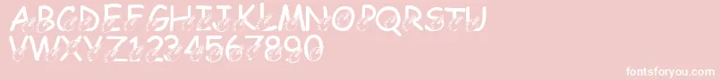 LmsDarrensDelight Font – White Fonts on Pink Background