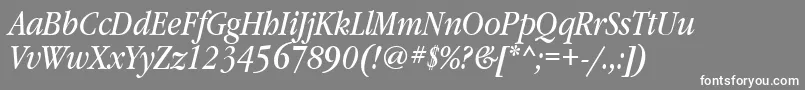 GaramondbooknarrowtttItalic Font – White Fonts on Gray Background