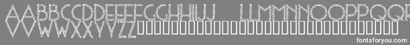 SophieScholl Font – White Fonts on Gray Background