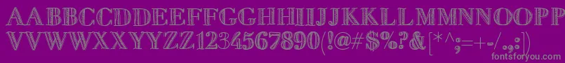Fivedollar Font – Gray Fonts on Purple Background