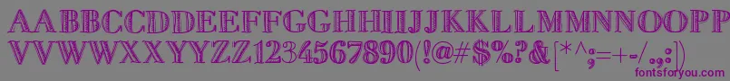 Fivedollar Font – Purple Fonts on Gray Background