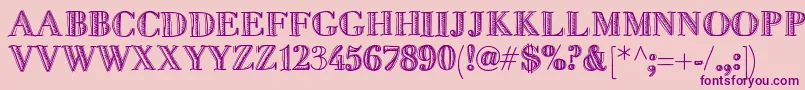 Fivedollar Font – Purple Fonts on Pink Background