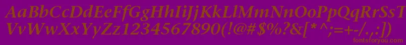 StoneserifstdSemiboldit Font – Brown Fonts on Purple Background