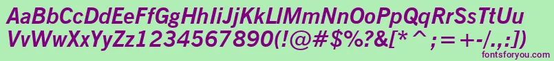 NewsGothicBoldItalicBt Font – Purple Fonts on Green Background