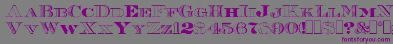 Roman38Sample Font – Purple Fonts on Gray Background