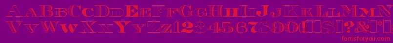 Roman38Sample Font – Red Fonts on Purple Background
