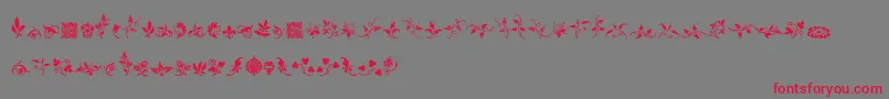 RoughFleuronsFree Font – Red Fonts on Gray Background