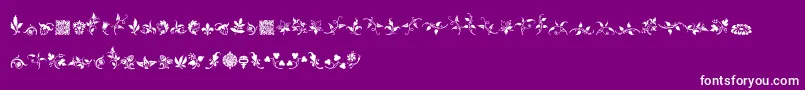 Czcionka RoughFleuronsFree – białe czcionki na fioletowym tle