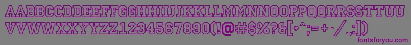 ACampusotl Font – Purple Fonts on Gray Background