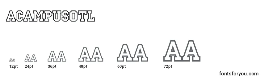 Размеры шрифта ACampusotl