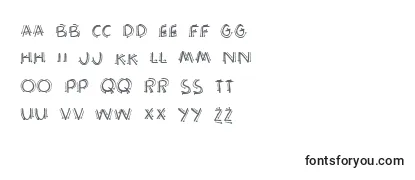 Operatinginstructions Font