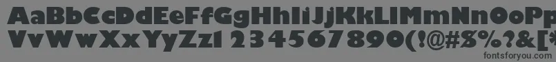 GimletblacksskBold Font – Black Fonts on Gray Background