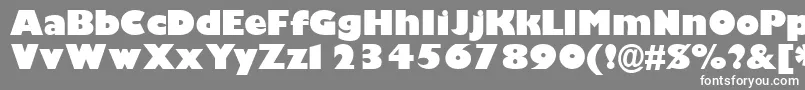 GimletblacksskBold Font – White Fonts on Gray Background